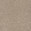 Ковролин AW Vivendi Punch 34  | FLOORDEALER